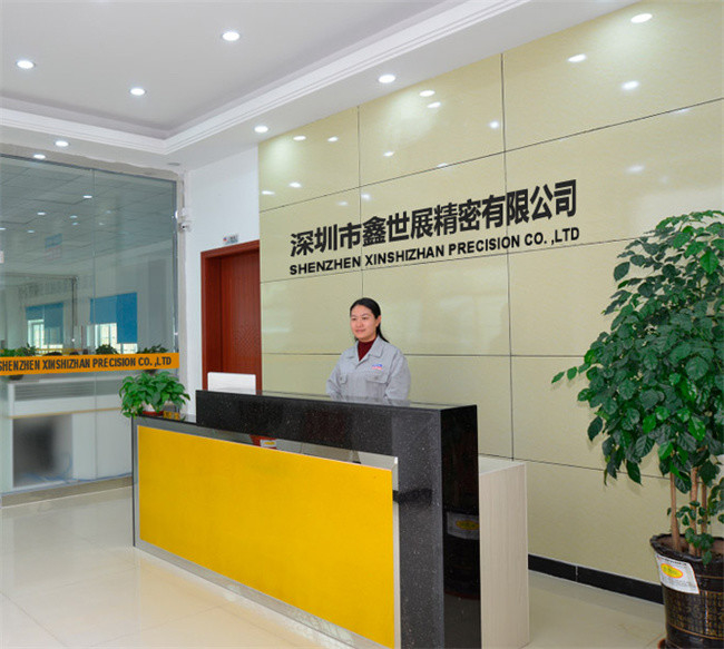 Cina Xinshizhan Precision Co., Ltd. Profil Perusahaan